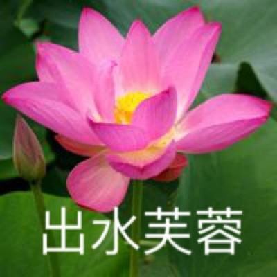 欢迎来到实力至上主义的教室小说